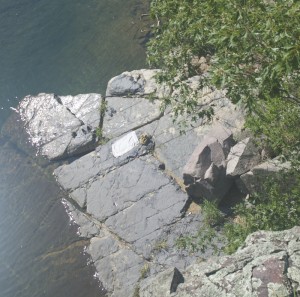 Looking down from the cliffs above the Shut Ins, the sets of linear joints in the rocks are quite clear.