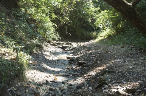 The dry creek bed in mid-September.