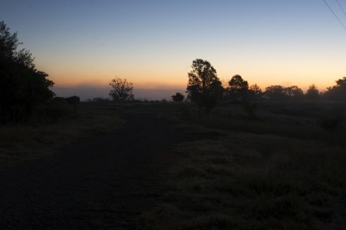 Morning at the ranch.