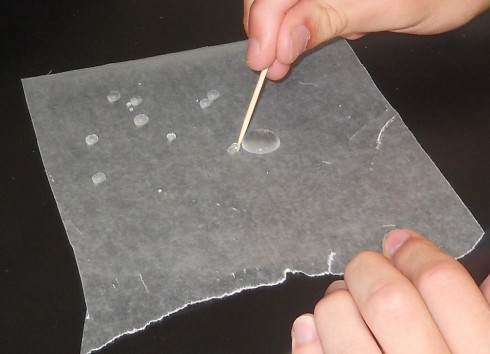 Dragging water droplets around a piece of wax paper using a wooden toothpick.