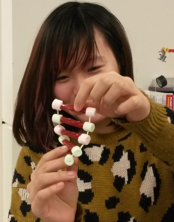 A DNA strand modeled with the bases represented by colored marshmallows. Toothpicks connect the marshmallows along the backbone of the helices, while  Twizzlers are used to show the bonding across the two DNA strands.
