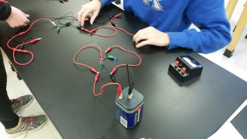 Building bulbs into parallel circuits.