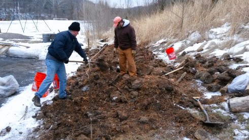 Dr. Sansone and a parent volunteer, transplant blueberry bushes into the partly frozen ground. 