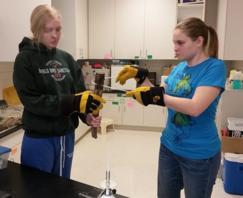 Students bend glass tubing for their steam distillation apparatus.