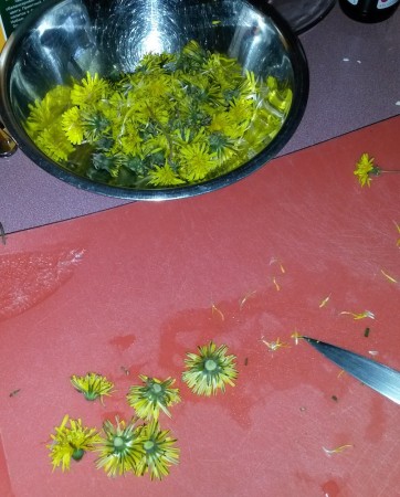 Preparing the flowers for frying.