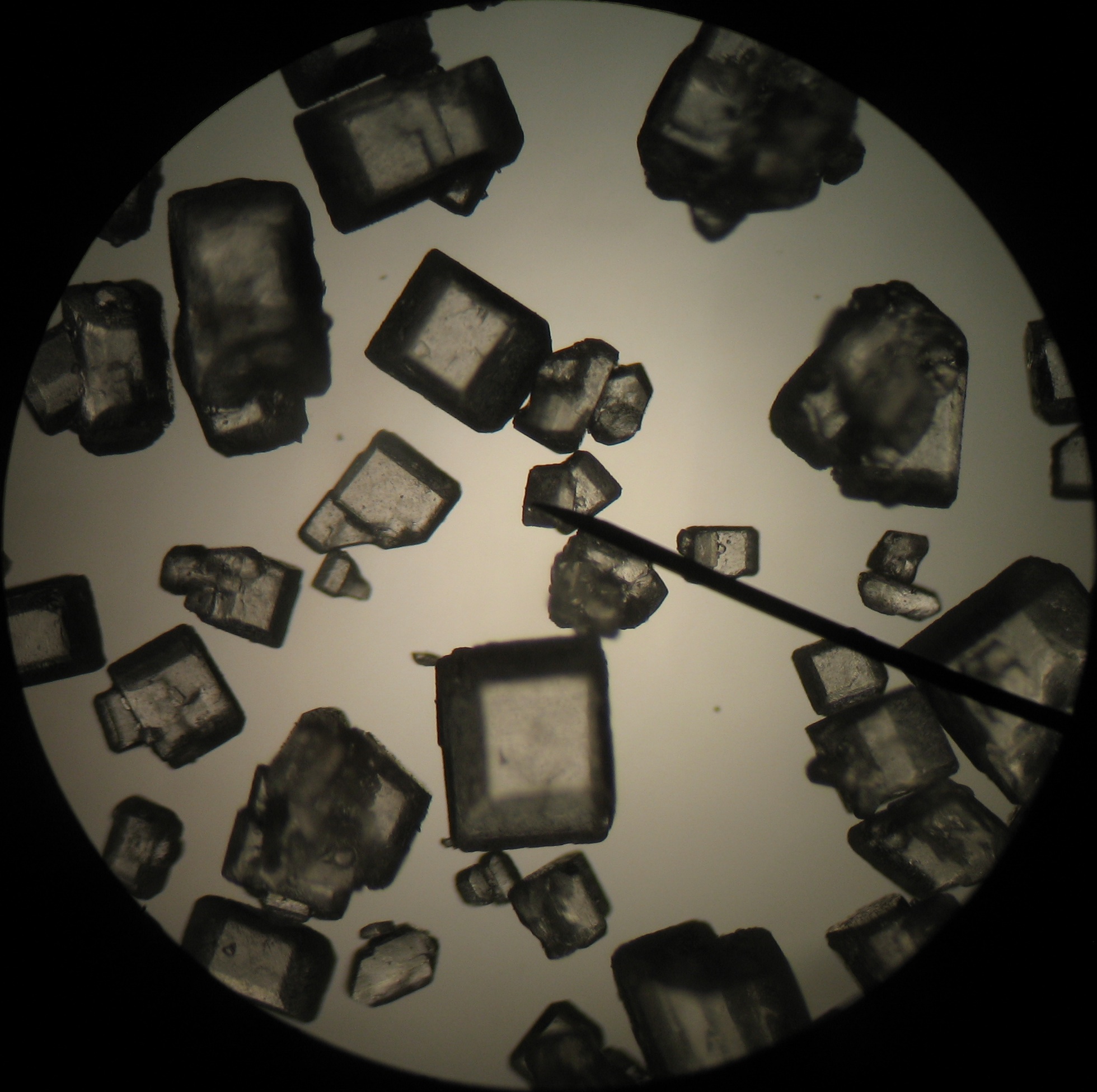 Sugar crystals under microscope