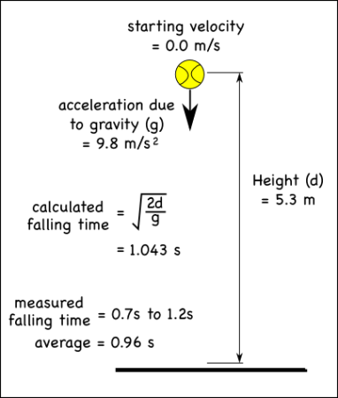 Using stopwatches, we measured the time it took for the tennis ball to fall 5.3 meters. Some of the individual measurements were off by over 30%, but the average time measured was only off by 7%.