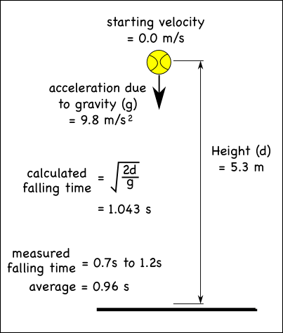 free fall acceleration due to gravity lab report