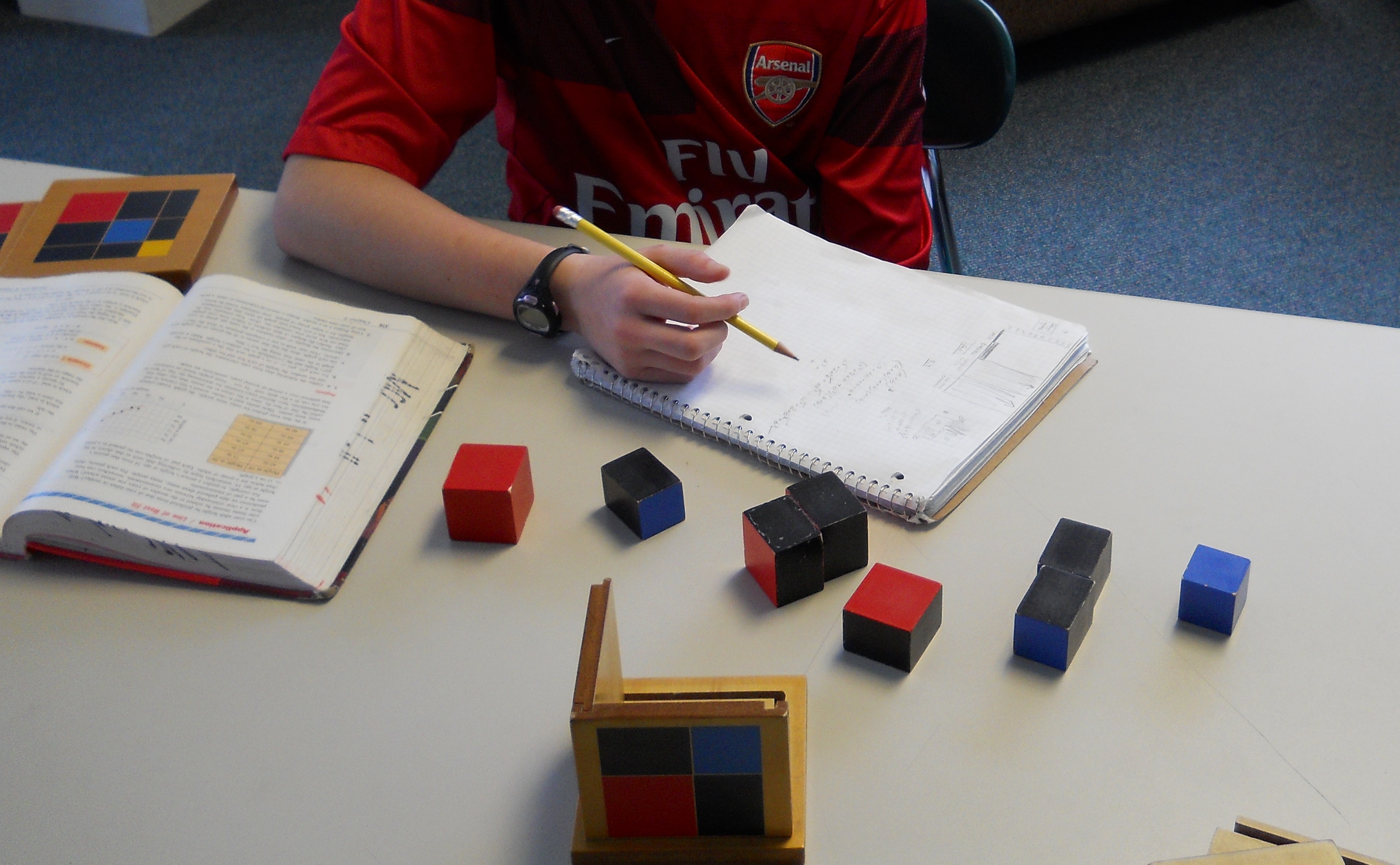 Binomial Cube Montessori