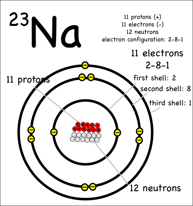 sodium atom labeled