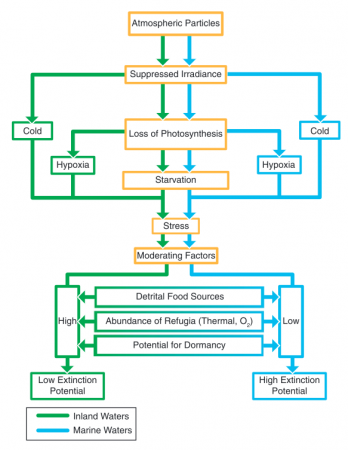 Diagram of contrasts between freshwater and marine environments for factors potentially causing extinction in aquatic environments after the Chicxulub impact. (Image and caption from Robertson et al., 2013).