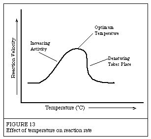 Enzymes work best within an optimum range of temperatures. Image from Worthington Biochemical.