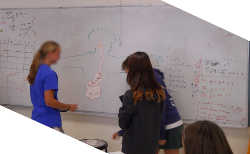 A student from the audience (blue shirt) prepares to pin the large intestines.