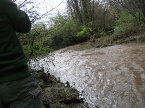 Flooding creek after spring's showers (mid-April).