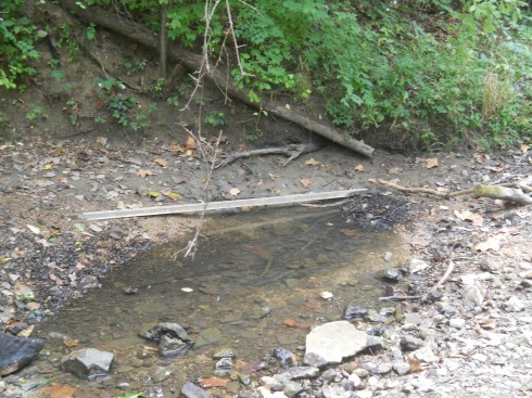 A relict puddle at the end of the summer (mid-September).