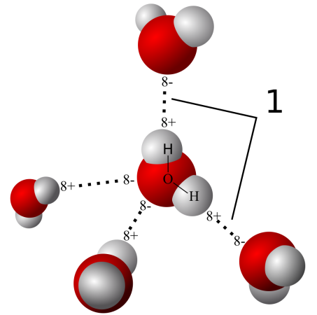 Hydrogen bonding among water molecules is due to the shape of the individual molecule. Since the molecule is "bent" one end has a slightly more negative charge and the other a slightly more positive. Image by User Qwerter at Czech wikipedia.