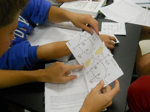 Ms. Mertz had students tape two glucose molecules together to form maltose.