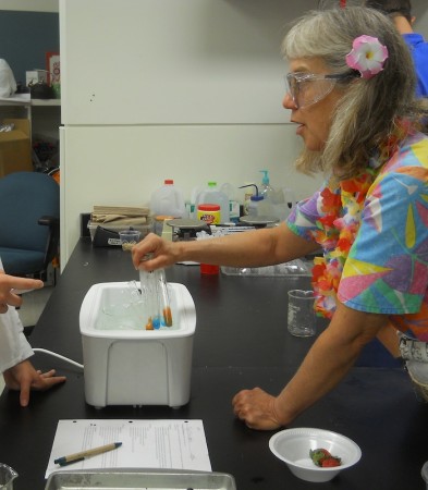 Ms. Mertz pulls samples out of the water bath.