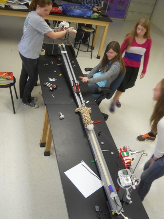 Students choose to spend their time building a complex, Rube Goldberg machine with pulleys, inclined planes, motors, and microcontrollers. 