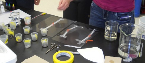 Blood type testing using chromatography.