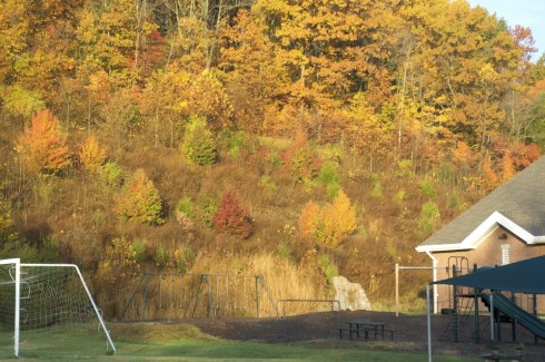 Fall on campus.