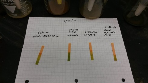 pH measurements from soil, bird manure, composted horse manure, and kitchen compost.