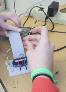 N.D. wires LED's and resistors on a breadboard connected to a Raspberry Pi.