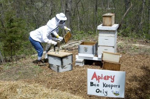 Placing the nukes into the hives.