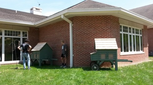 Finding the right place for the chicken coops.