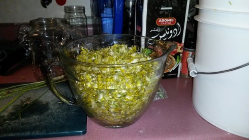 Two quarts (about 4 liters) of dandelion flowers for making a gallon of wine.