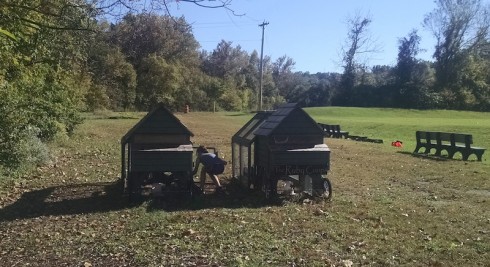 A student hand-feeds crickets to the chickens.