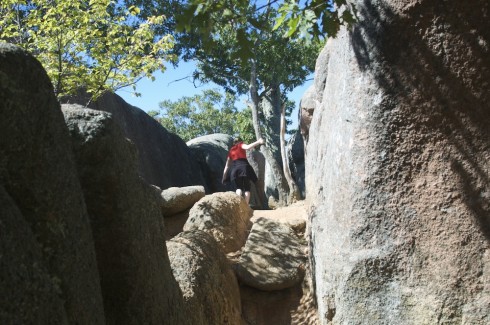 Exploring the spaces between the rocks.