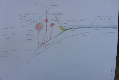 Diagram of a convergent tectonic margin used to illustrate the rock cycle.