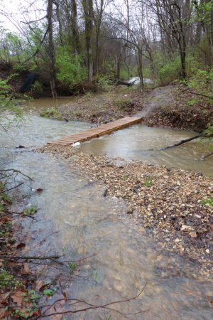 The rising creek.