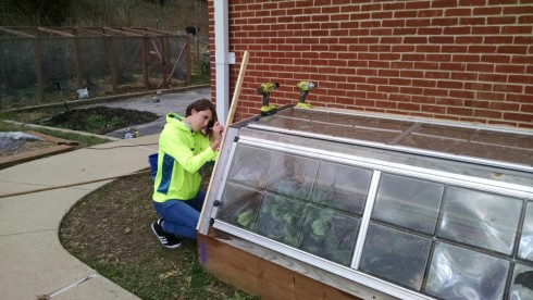 Assembling the side panel for the cold-frames. The front and top plastic panels were salvaged from our aluminum-framed greenhouse.