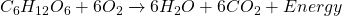  C_6H_{12}O_6 + 6 O_2 \xrightarrow{}   6 H_2O + 6 CO_2 + Energy 