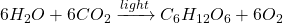  6 H_2O + 6 CO_2 \xrightarrow{light} C_6H_{12}O_6 + 6 O_2